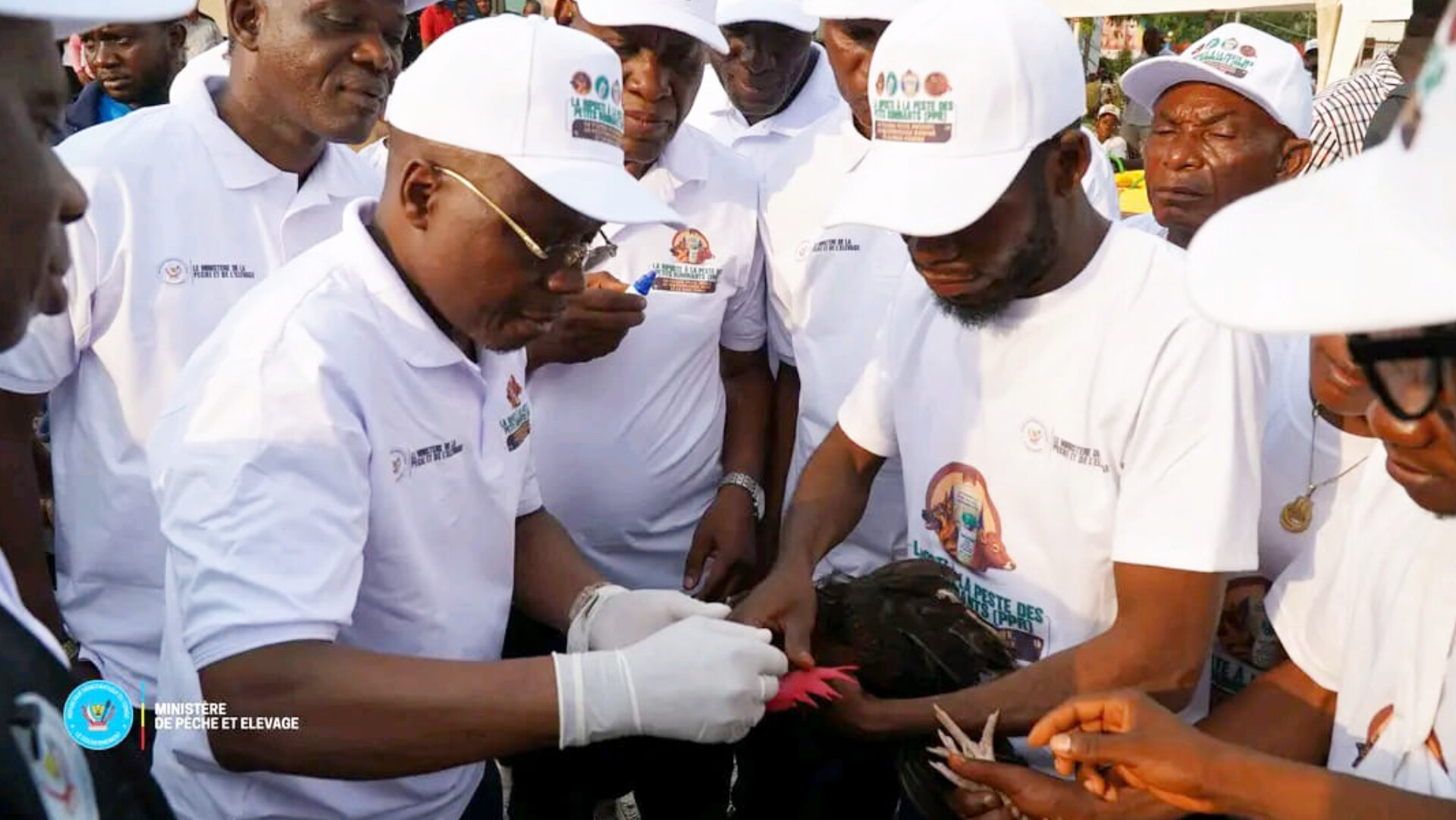 Kasaï Oriental : le Ministre Jean-Pierre Tshimanga lance une campagne gratuite de vaccination animale contre trois fléaux du cheptel