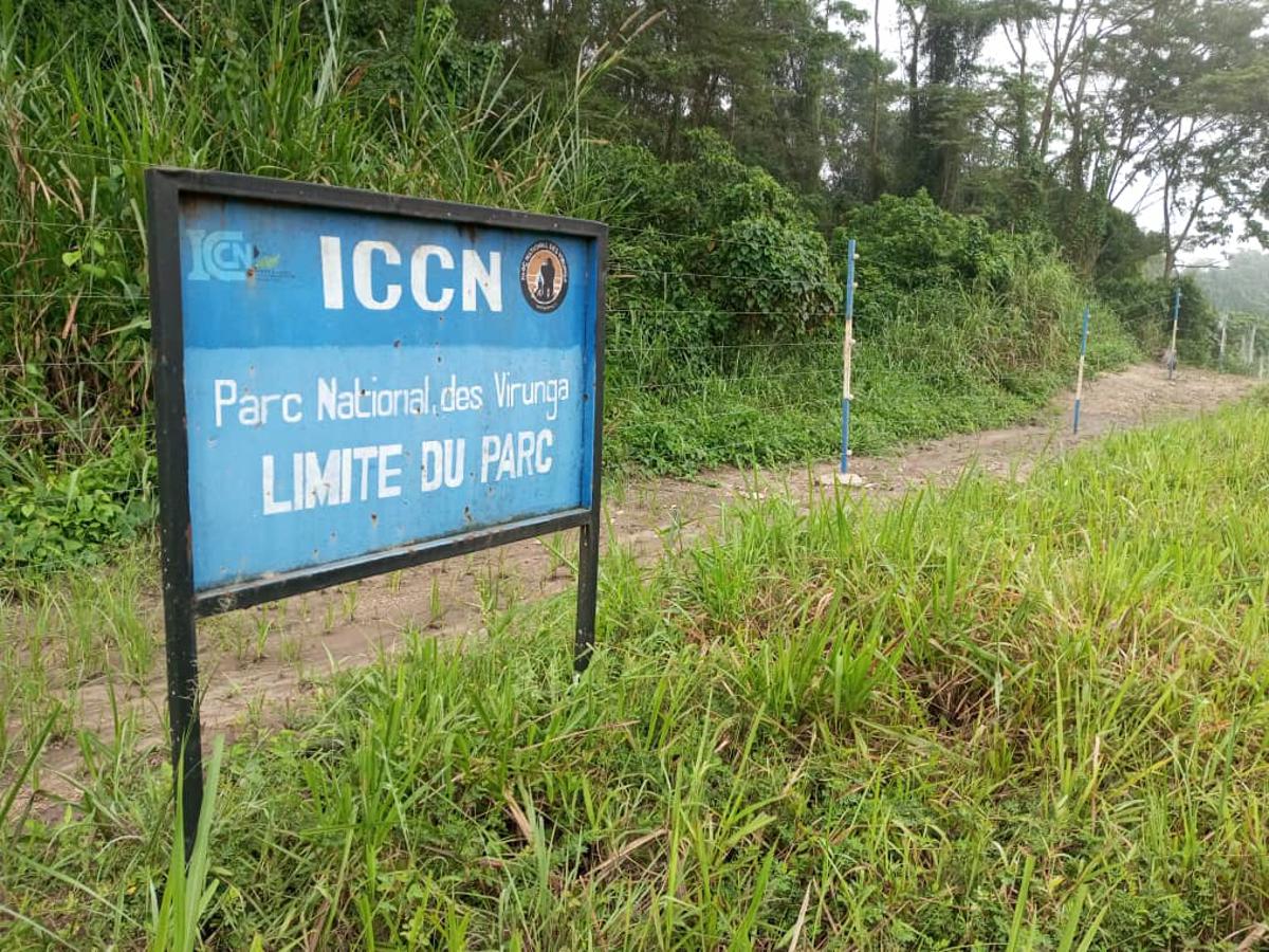 Béni : l'ICCN réaffirme les limites du Parc national des Virunga après des tensions à Makisabo