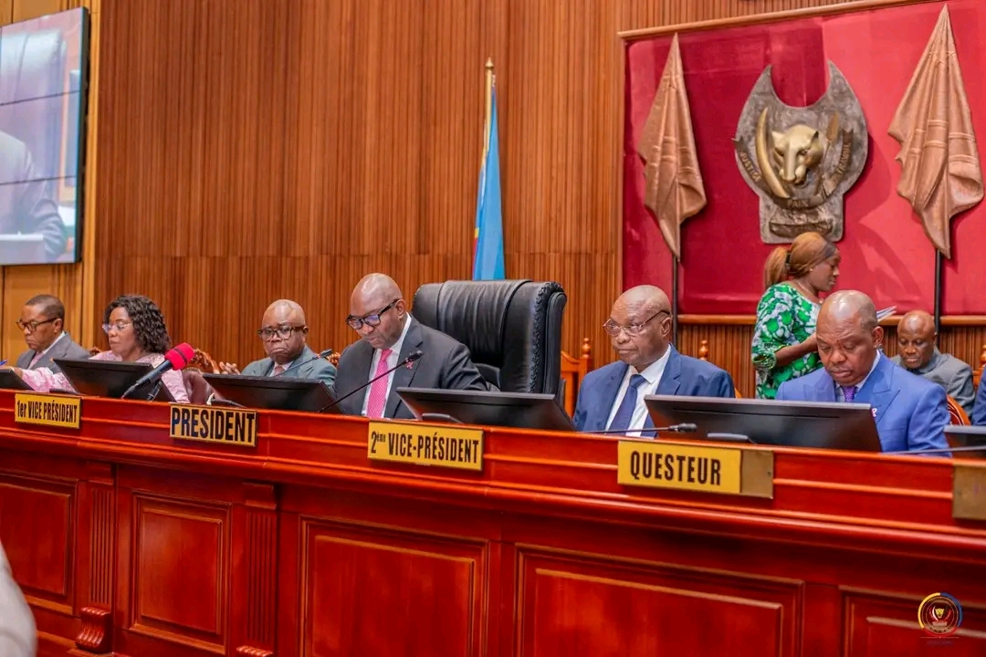 RDC : le Sénat examine une proposition de loi pour renforcer la protection des victimes de violences domestiques et de discriminations liées au genre