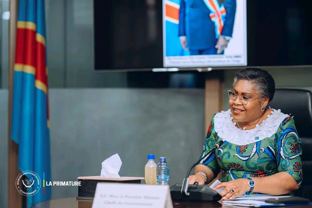 Recensement de la population en RDC : le gouvernement en réunion d'évaluation de la cartographie pilote