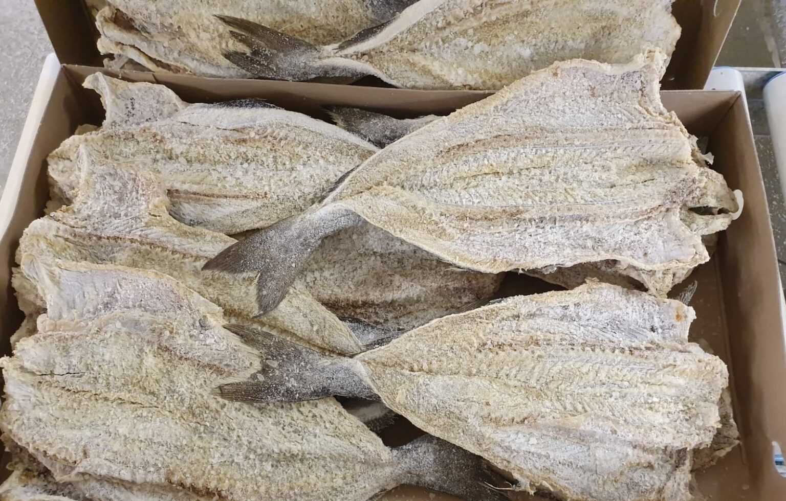 RDC : Un carton de poisson salé de 9 Kg quitte de 175.000 FC à 115.650 FC