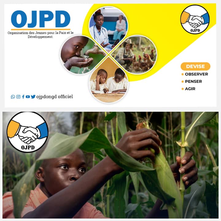 Kasaï : L'ONGD OJPD dédie la journée mondiale de l'alimentation aux activités champêtres qu'elle effectue dans la province