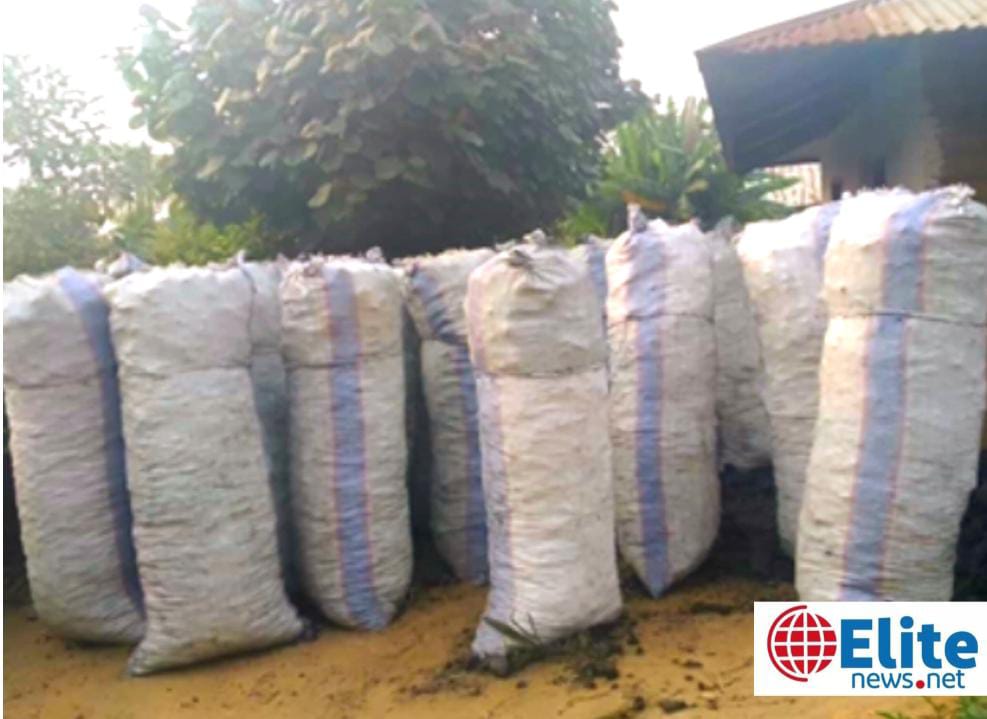 Maï-Ndombe : la production de « makala » accélère la déforestation et raréfie le bois de chauffage à Bolobo