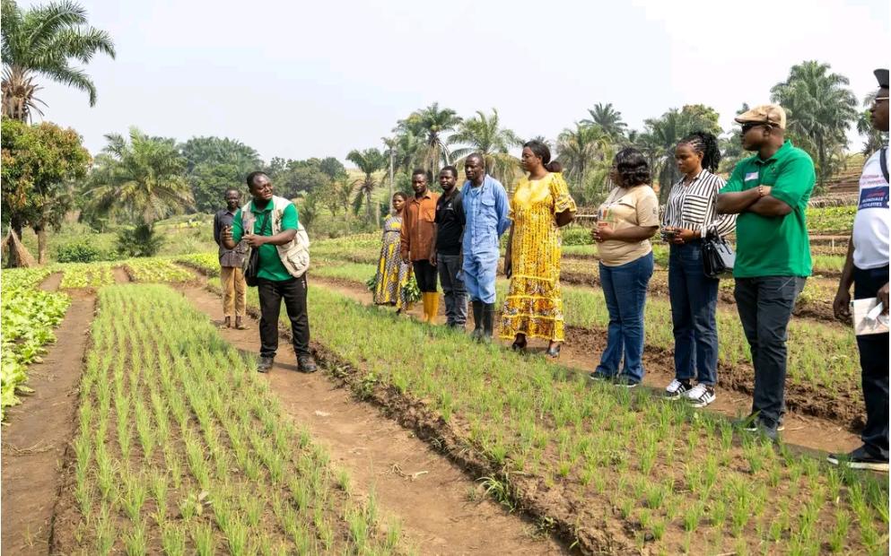 Kasaï : Le gouvernement provincial évalue les avancées du projet TUDIENZELE mis en œuvre à Tshibemba
