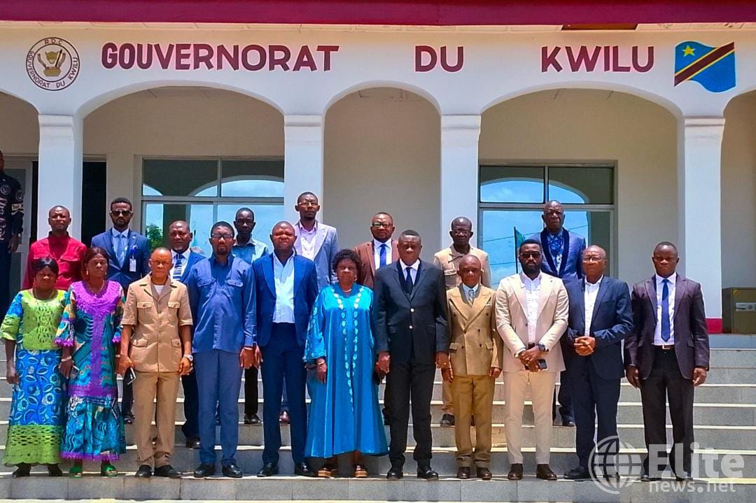 Kwilu : première réunion du comité de pilotage provincial sur le PTBA 2026 révisé du PASEA, entre avancées, retards et défis sur le terrain