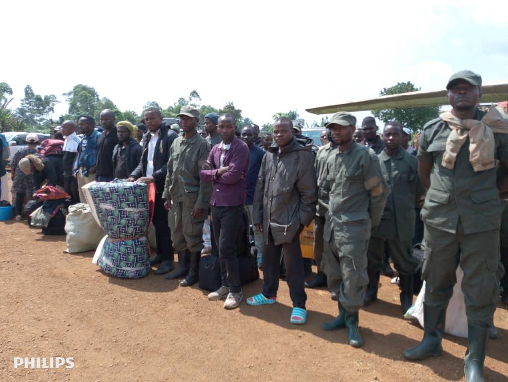 RDC : Plus de 320 rebelles M23-RDF se rendent aux FARDC au Nord-Kivu et Sud-Kivu