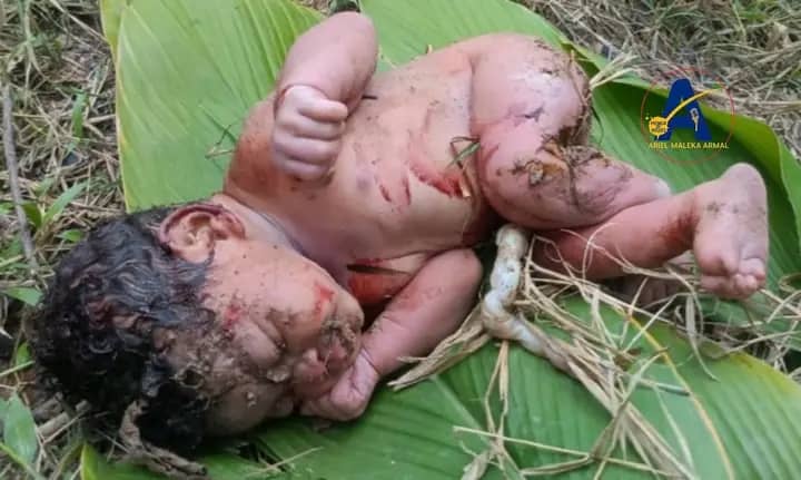 Mwene-Ditu : un nourrisson abandonné secouru et pris en charge en urgence