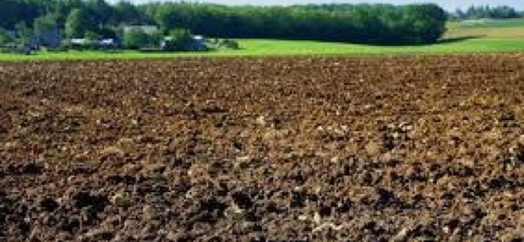 Sud-Kivu : Pénurie de semences et accés limité aux terres, une menace pour la saison culturale B