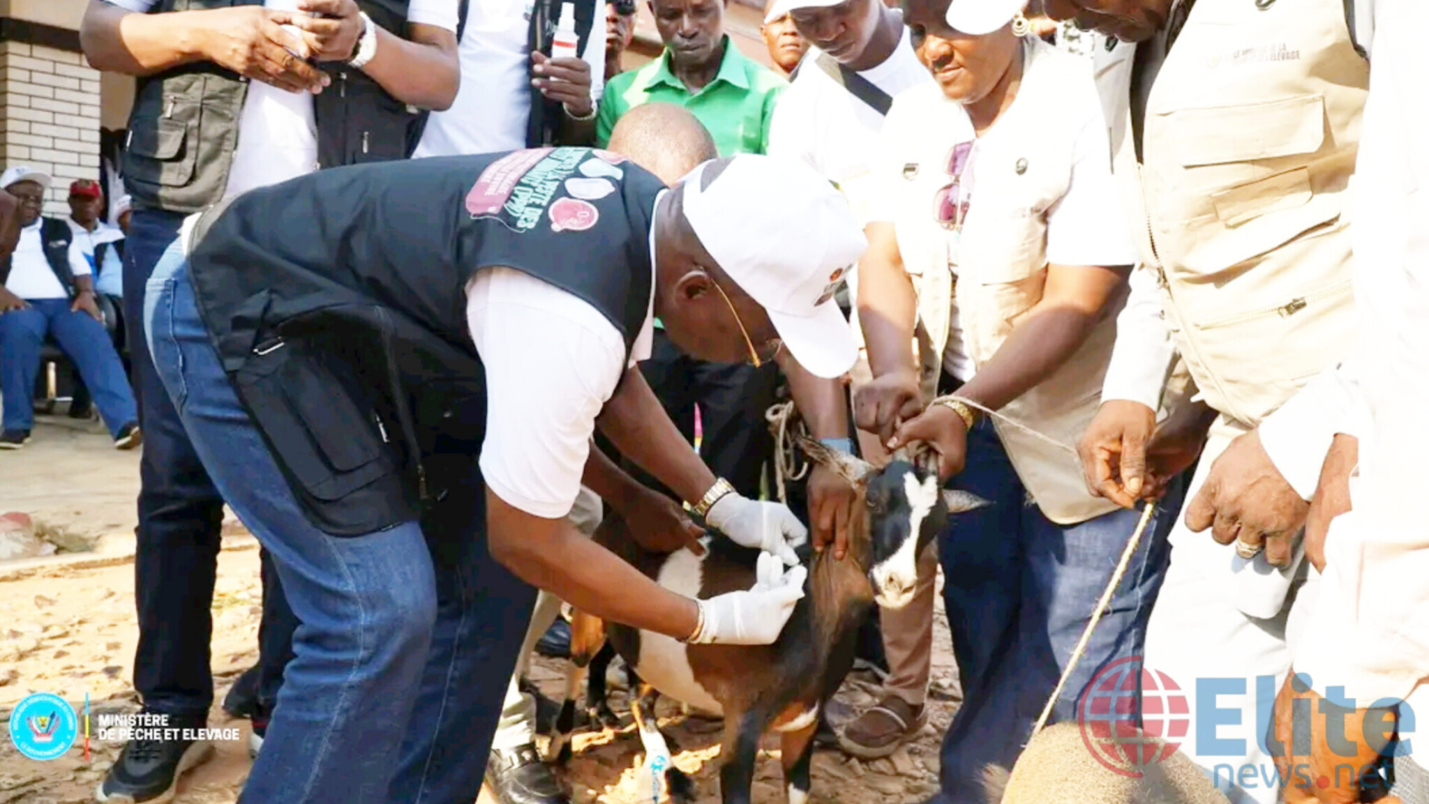 Lomami : le ministre Jean-Pierre Tshimanga lance à Kabinda une campagne de vaccination animale gratuite pour protéger l'élevage et la sécurité alimentaire