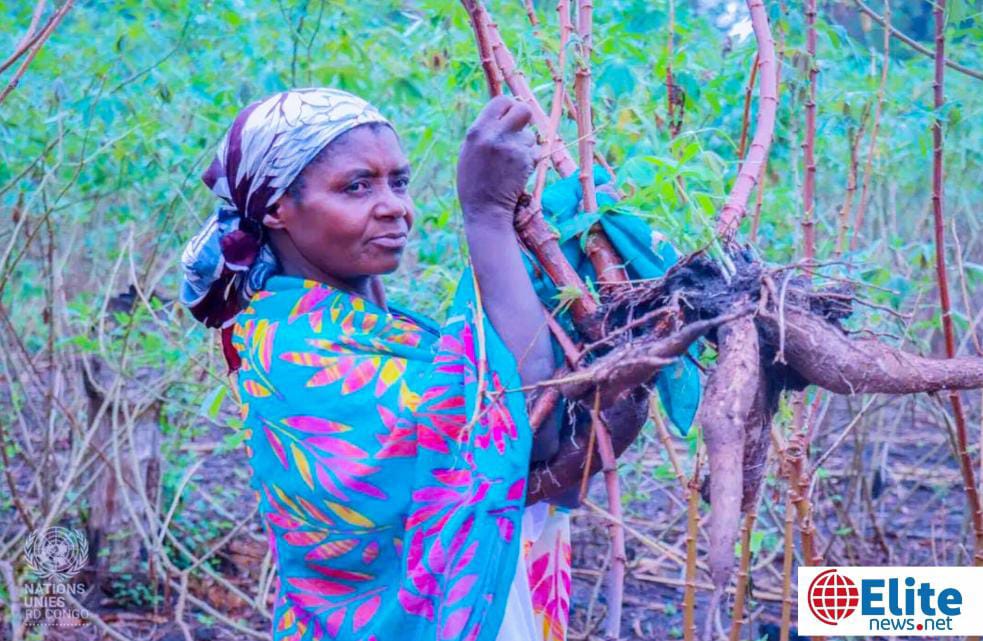 15 octobre 2026 : La RDC célèbre la Journée internationale des femmes rurales, placée sous le signe du renforcement de leurs droits et de leur autonomisation économique